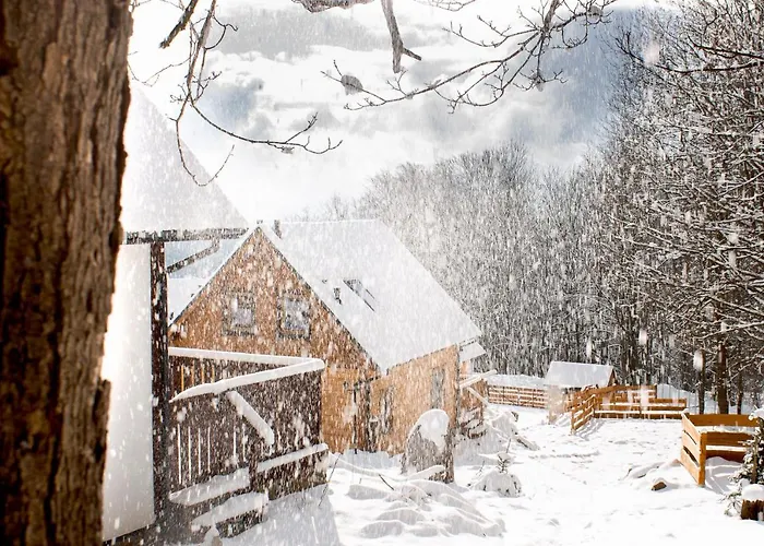 Casa vacanze Pod Lipami *