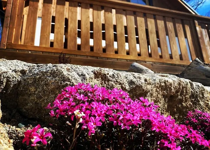 Casa vacanze Pod Lipami *