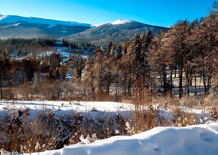 Chałupy Pod Lipami Dom wakacyjny
