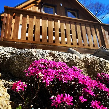 Dom wakacyjny Chałupy Pod Lipami *